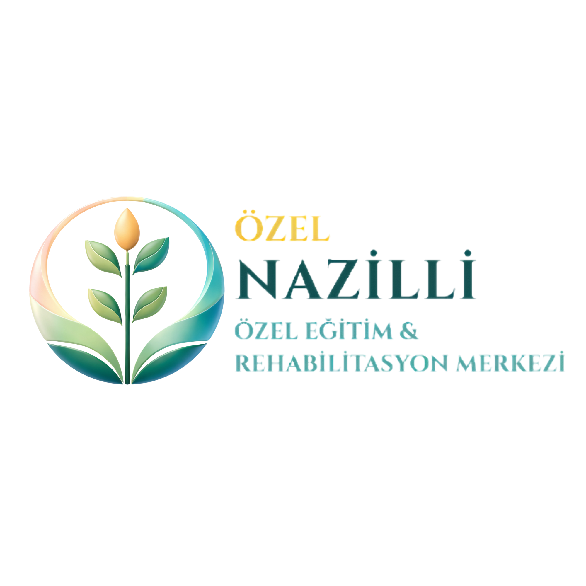 Nazilli Özel Eğitim Logosu